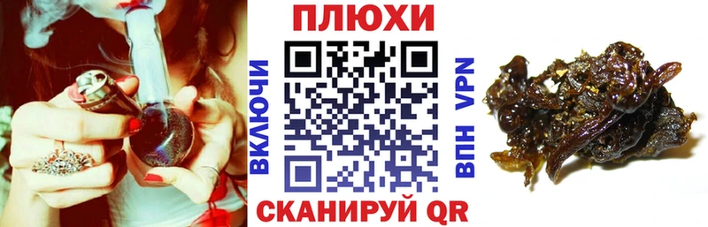 ГАШ Изолятор  OMG сайт  Петрозаводск 