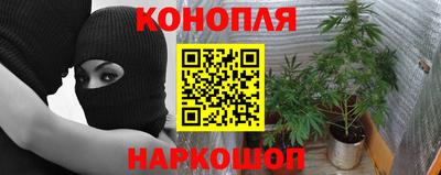ECSTASY Сланцы