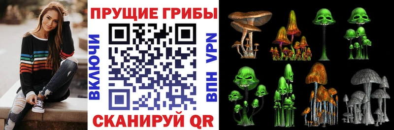Галлюциногенные грибы ЛСД  Петрозаводск 